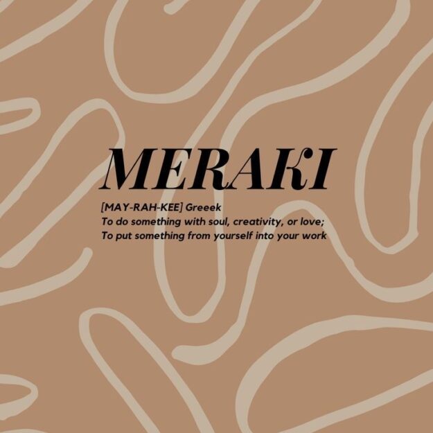 Meraki Accessories